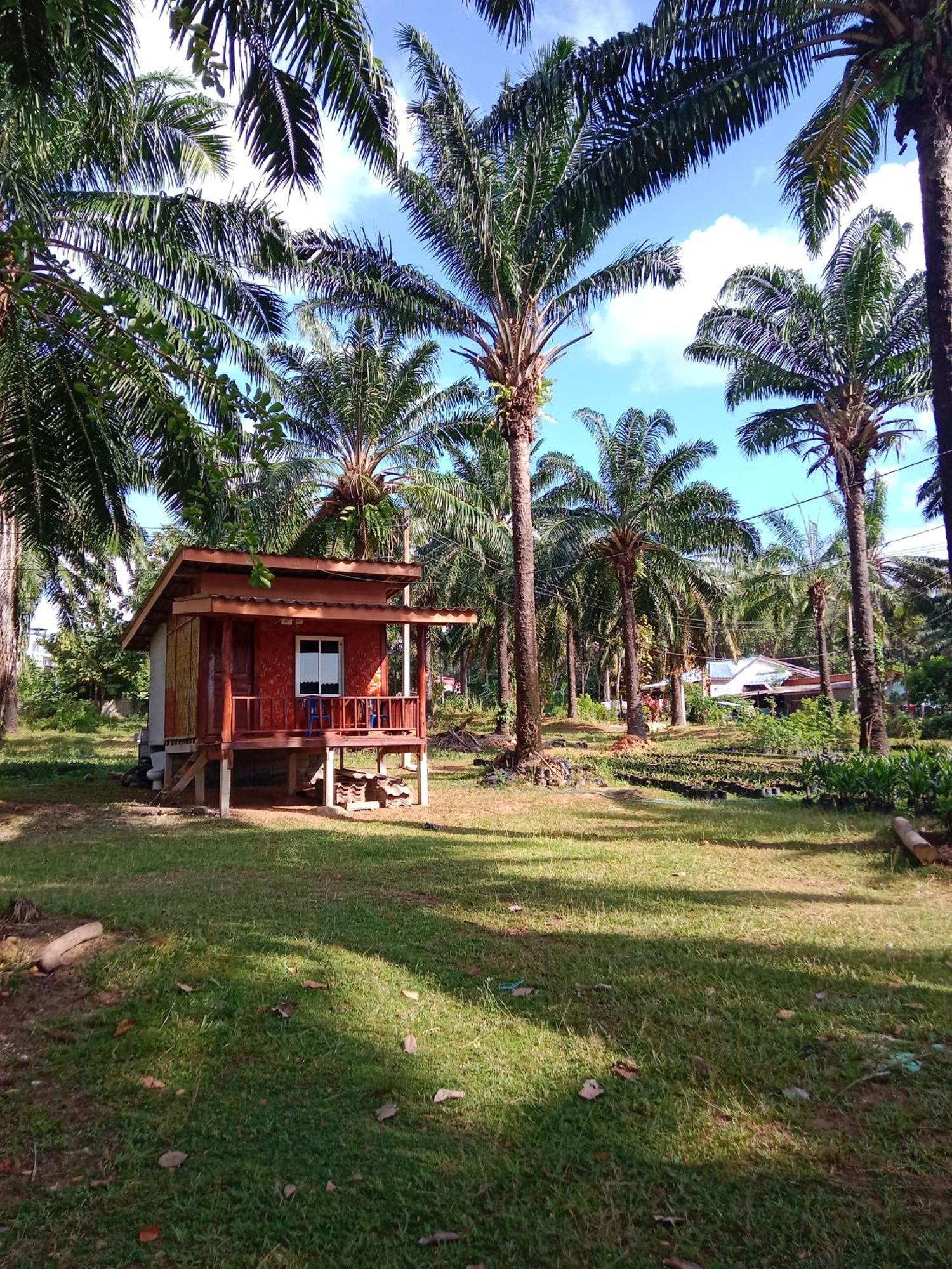 Som Palm Garden Koh Lanta Exterior foto